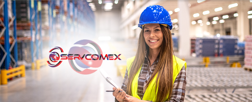 Frete Marítimo Valor